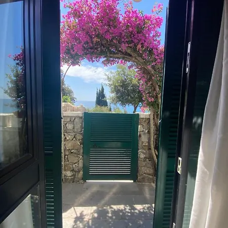 Hotel Leopold Moneglia